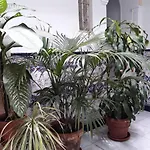 Atico Soleado * 加的斯