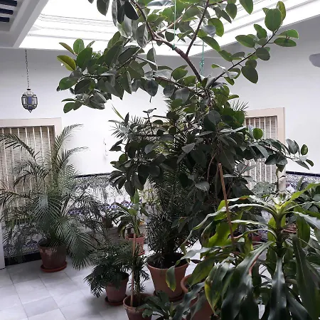 Apartament Atico Soleado *